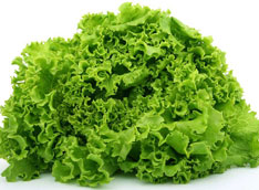 Zelena salata (posno)